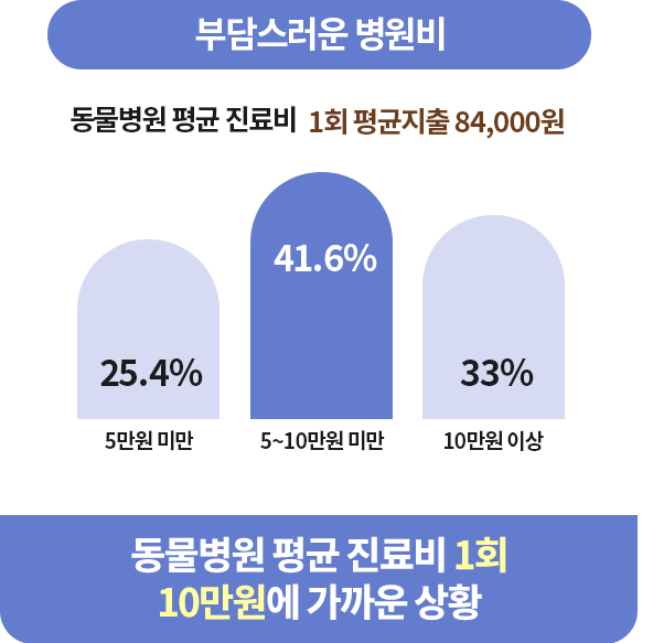 애견보험 병원비 지출 스틱차트